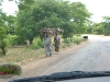 Africa 2 024